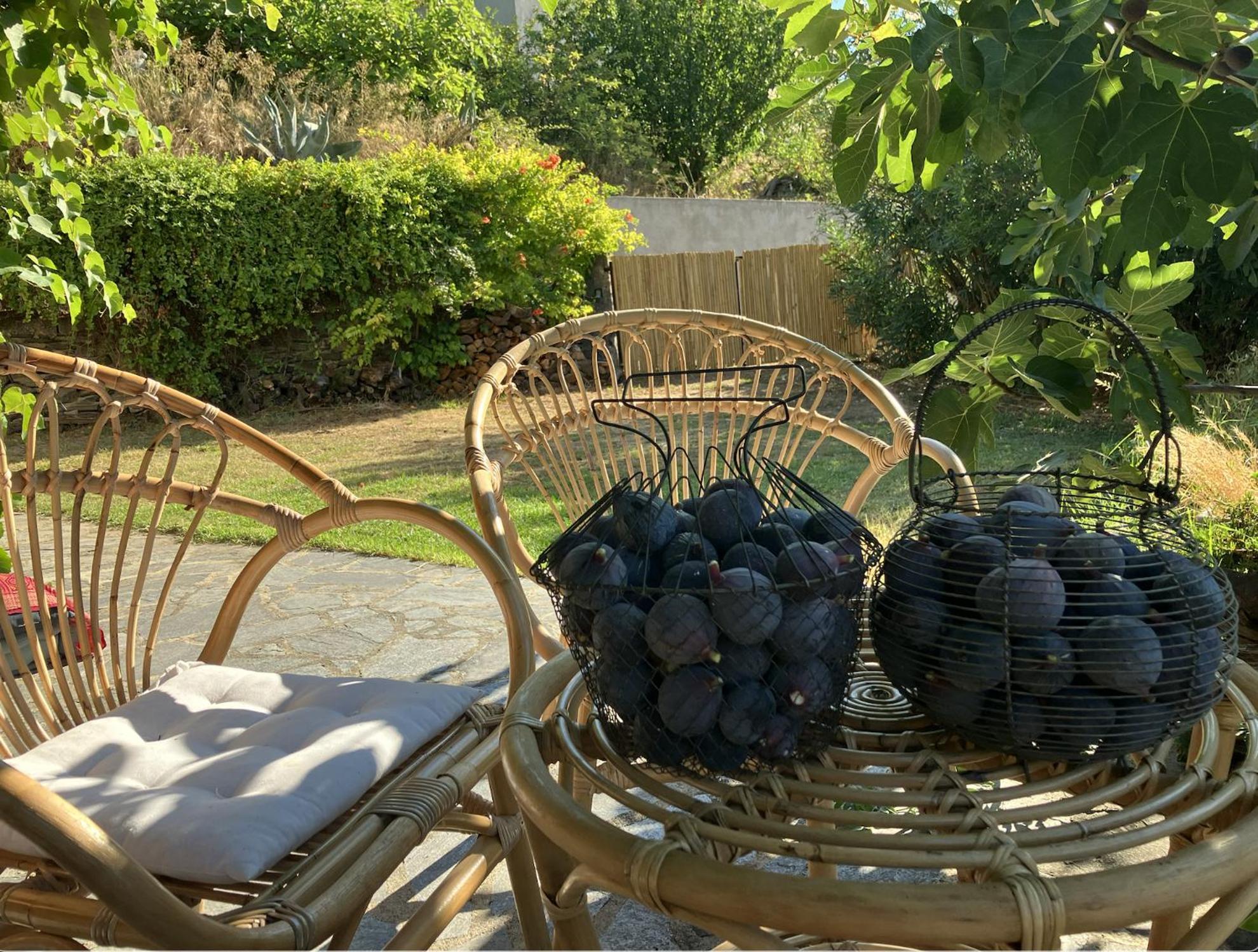 Maison De Charme Corse Sauvage Pietra-di-Verde Екстер'єр фото