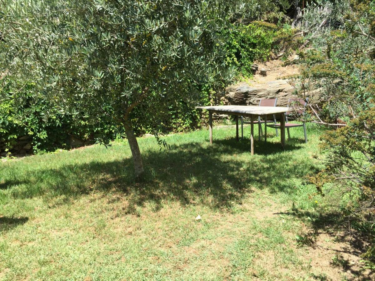 Maison De Charme Corse Sauvage Pietra-di-Verde Екстер'єр фото