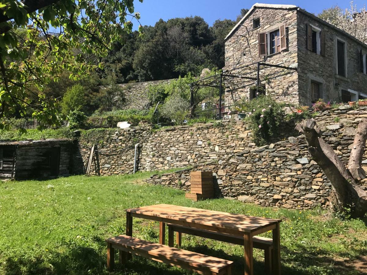 Maison De Charme Corse Sauvage Pietra-di-Verde Екстер'єр фото